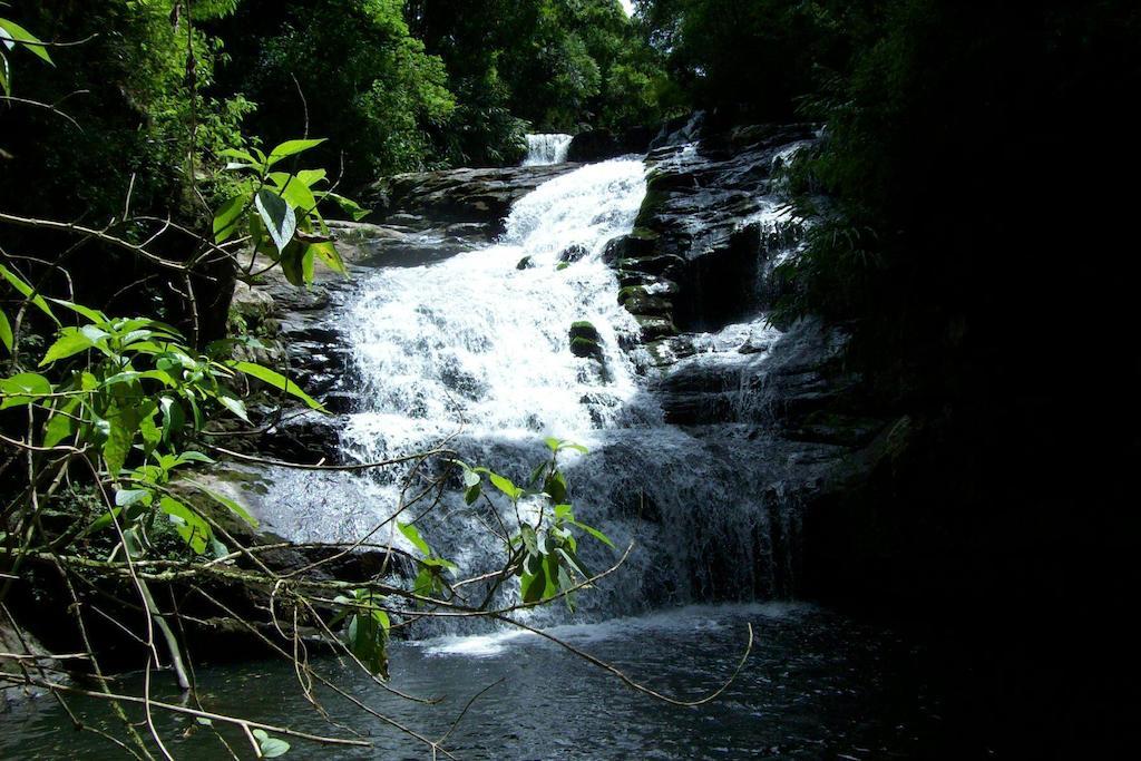 Terra Do Sempre - Reserva Ambiental Hotel Sao Francisco de Paula  Luaran gambar