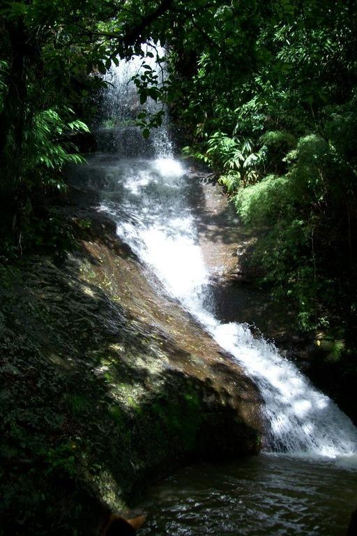 Terra Do Sempre - Reserva Ambiental Hotel Sao Francisco de Paula  Luaran gambar