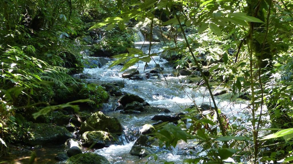 Terra Do Sempre - Reserva Ambiental Hotel Sao Francisco de Paula  Luaran gambar